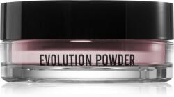 Danessa Myricks Beauty Evolution Powder porpúder árnyalat Pink - Translucent Brightening Pink 11 g