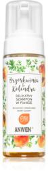 Anwen Peach & Coriander tisztító hab a száraz és érzékeny fejbőrre 170 ml