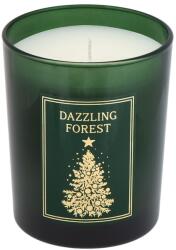 Douglas Collection - Seasonal Winter Wonder - Dazzling Forest Illatgyertya 180 g