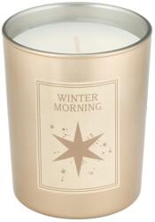 Douglas Collection - Seasonal Winter Wonder - Winter Morning Illatgyertya 180 g
