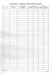  Registru jurnal incasari si plati A4 100 file TIPREGLIPG (TIPREGLIPG)
