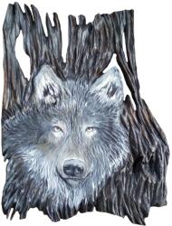  Fa kép Farkas (797)