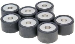 Polini 242.394 Variátor Görgő Szett 25x16mm 15, 0g