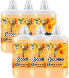 Coccolino Orange Rush Öblítő koncentrátum 476 mosás 6x1700ml (8720181410659)