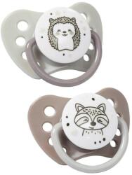 Babyono Suzete din silicon Babyono Natural Nursing - 6-18 luni, 2 bucăți (5901435409886)