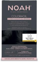 NOAH Vopsea de par permanenta fara amoniac, 1.0 Negru Intens, Color in Oil, 135 ml, Noah
