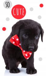 Carbotex Kutya kéztörlő 30x50 cm kutyák (TNL202009-R)