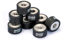 Polini MX_P242.288 Cvt Görgők (8 Db) 25x17 24, 0g