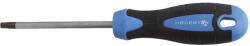 Högert Technik Hogert Csavarhúzó Torx T20x100MM S2 HT1S055 (HT1S055)