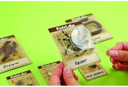 4M KidzLabs Excavation Vermin (M4603397)