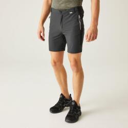 REGATTA Mountain ShortsII férfi technikai short szürke