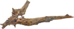 INVITAL Dark wood M (ID 3530)