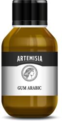 PENTART Gumiarábikum PENTART ARTEMISIA 100ml (47079)