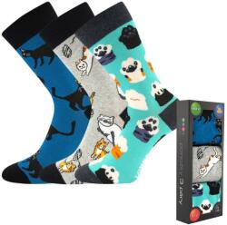 Fuski BOMA s. r. o Mintás pamut zoknik - 3 pár - Macskák | 35-38 (115548)