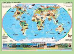  Világ állatai/ állatok élőhelye könyöklő (37077K)