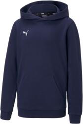 PUMA Teamgoal 23 Casuals Hoody Jr (65671106)