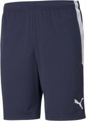 PUMA Team Liga Training Shorts (65724906)