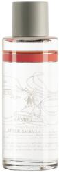 MÜHLE After Shave Lotion - Grapefruit & Mint (125 ml) (P27280)