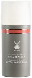 MÜHLE Balsam aftershave Mühle - Grapefruit & Mint (100 ml) - 3 ml (P32789)
