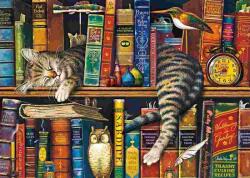 Schmidt Spiele - Puzzle Frederick the literate - 1 000 piese