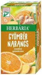 Herbária Gyömbér-Narancs tea - 20 filter - biobolt