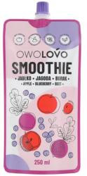 OWOLOVO Smoothie Alma-Kék Áfonya-Cékla - 250ml - biobolt