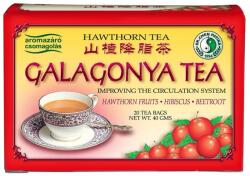 Dr. Chen Galagonya Tea - 20filter