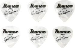 Ibanez B1000PGPW Paul Gilbert - Set Pene Chitara (B1000PGPW)