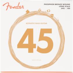 Fender AuriSonic 8060R