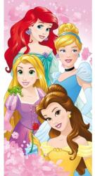 Hercegnők Disney Hercegnők törölköző fürdőlepedő team (JAJFK011317)