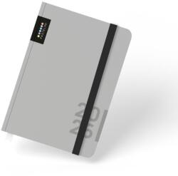 Karton P+P P+P PASTELINI A6, heti 2026, szürke (8-62325)