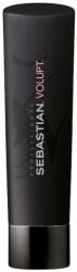 Sebastian Professional - Volupt DRY SHAMPOO 1000 ML Samponok 250 ml