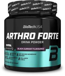 BioTechUSA Arthro Forte italpor (340 gr. )