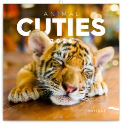 Realsystem Falinaptár képes lemeznaptár 300x300mm, Animal Cuties Realsystem 2026 (6097-AC) - web24