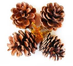 LAALU karácsonyi dekoráció - természetes fenyőtobozok, 5 cm, 4 darab (LAU-6150)