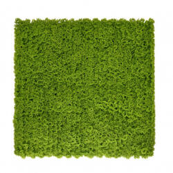 Mirpol Moha műanyag zöldfal 50x50 cm (5905610253776) - leziteronline