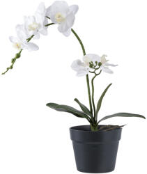 House Nordic Orchidea műnövény, zöld/fehér 49 cm (9501003) - leziteronline