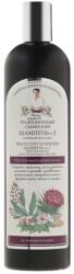 Babushka Agafia Șampon anti-cădere a părului №3 Burdock Propolis, 550 ml
