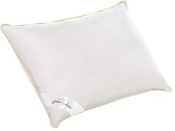 Green Future Libapehely Párna - 50x70 cm