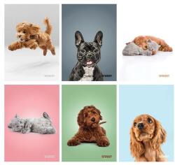 STREET Füzet vonalas STREET A/4 54 lapos Friends margóval (63320)