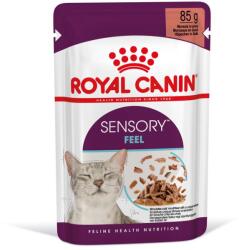 Royal Canin FHN Sensory Feel Gravy 36 x 85 g