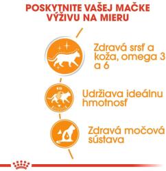 Royal Canin Hair & Skin Care Jelly tasakos eledel macskáknak zselében 36 x 85 g