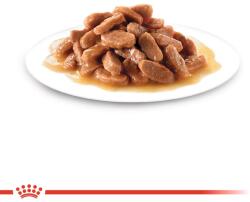 Royal Canin Kitten Sterilizált ivartalanított cicáknak 36 x 85 g