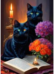 Alipson Puzzle 50146 - Black Cats - 500 db-os puzzle (50146)