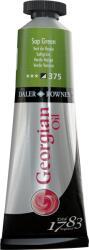 Daler Rowney Georgian Vopsea cu ulei Sap Green 38 ml 1 buc (111014375)