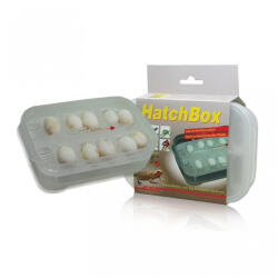Lucky Reptile Lucky Reptile|Hatchbox Incubation Tray- keltető doboz