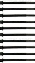 Victor Reinz Sada skrutiek hlavy valcov VICTOR REINZ 14-10172-01 (14-10172-01)