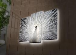 Ledda Tablou Canvas cu Led Paun, Multicolor, 66x45 cm (254LED4266)
