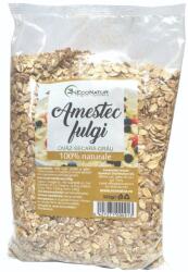 EcoNatur Amestec de fulgi, 500g, EcoNatur