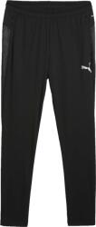 PUMA Teamcup Training Pants (65917503)